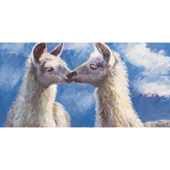 Llama Love - Canvas Print
